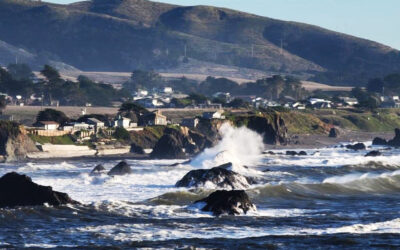 A Coastal Rhythm: The Perfect Slow Day in Bodega Bay