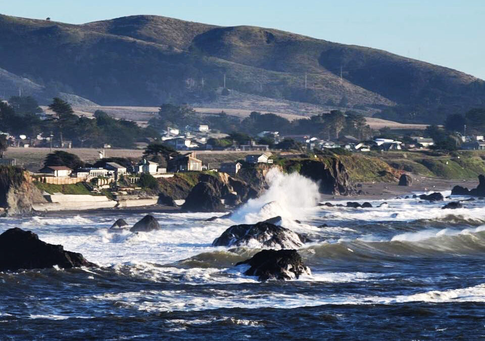 A Coastal Rhythm: The Perfect Slow Day in Bodega Bay