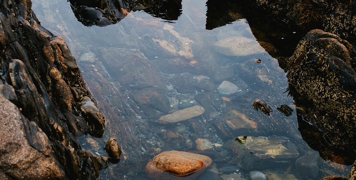 Tide Pools