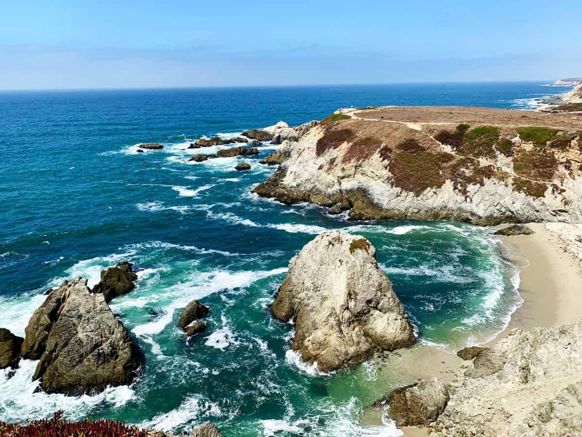 Bodega Head