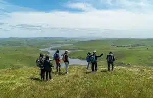 Nature Hike with Dave Barry at Estero Americano Coast Preserve