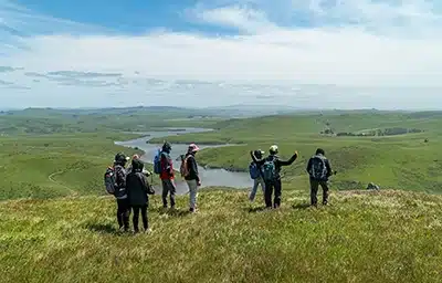 Nature Hike with Dave Barry at Estero Americano Coast Preserve