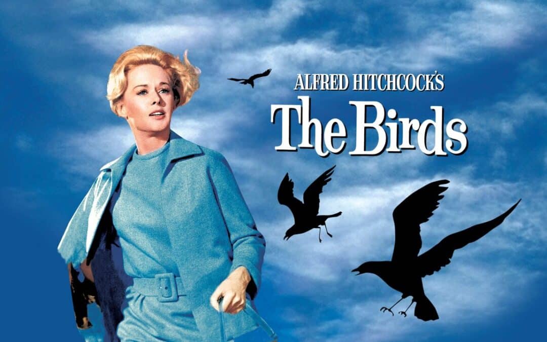 The Birds