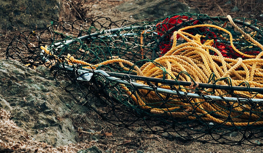 Fishing Line