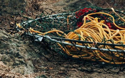 Unexpected Things to Photograph in Bodega Bay (Beyond Sunsets and Beaches)