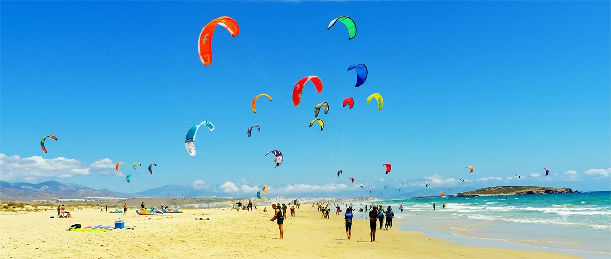 Kites on the beach