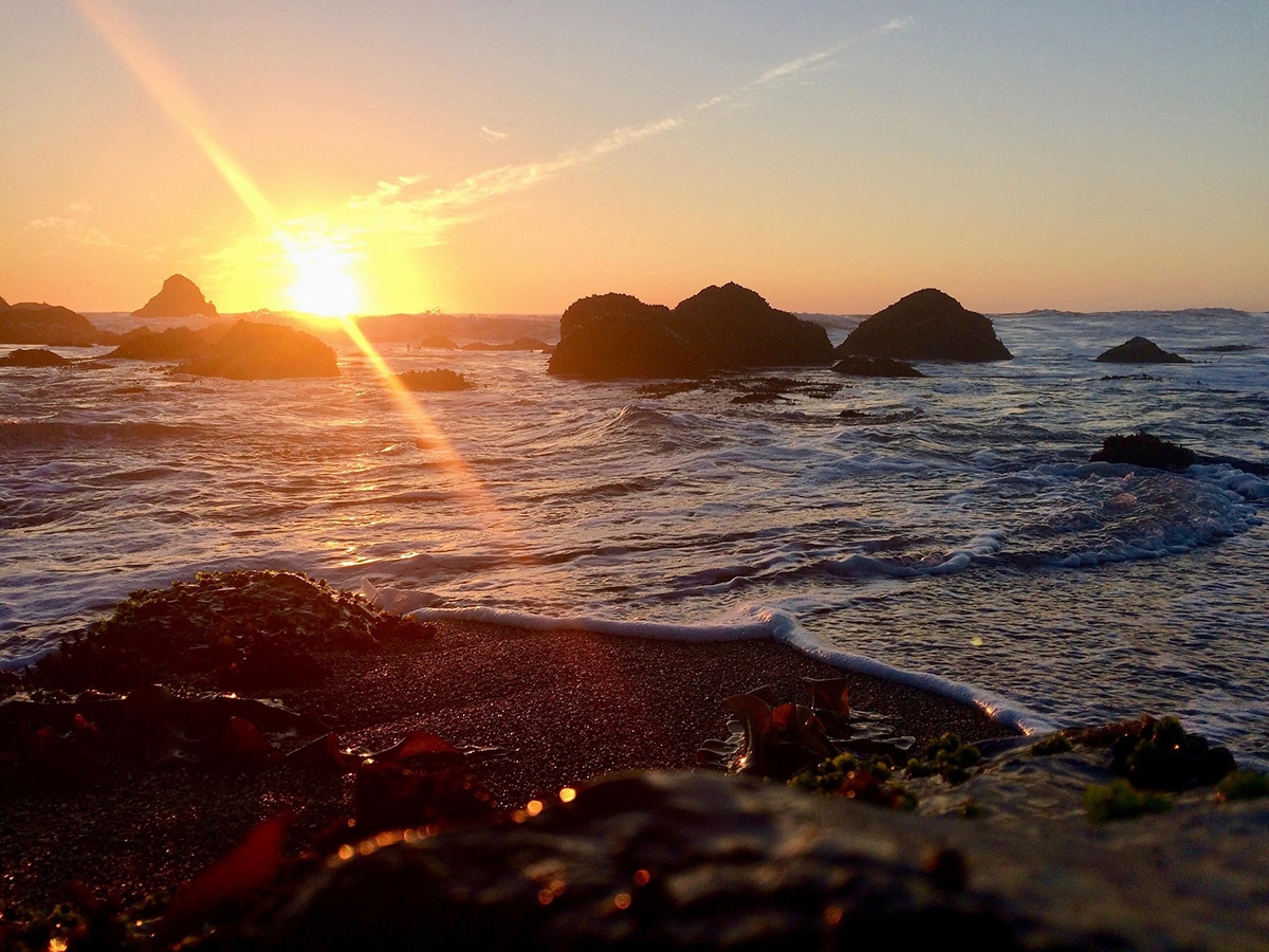 Best Spots to Watch the Sunset in Bodega Bay