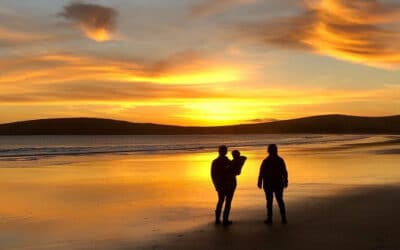 Best Spots to Watch the Sunset in Bodega Bay
