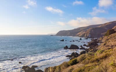 Why the Sonoma Coast Feels So Wild
