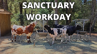 Animal Sanctuary Workday